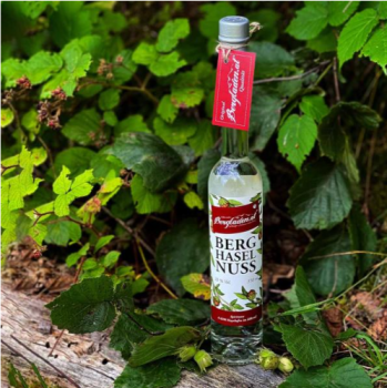 Haselnuss 33% Vol. 0.35l