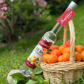 Marillenbrand 40% Vol. 0.35l