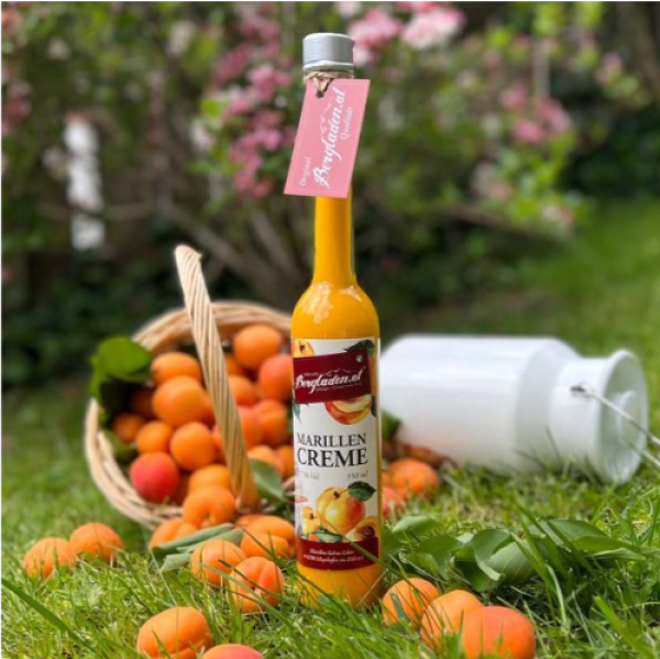Berg Marillencrème 17% Vol.